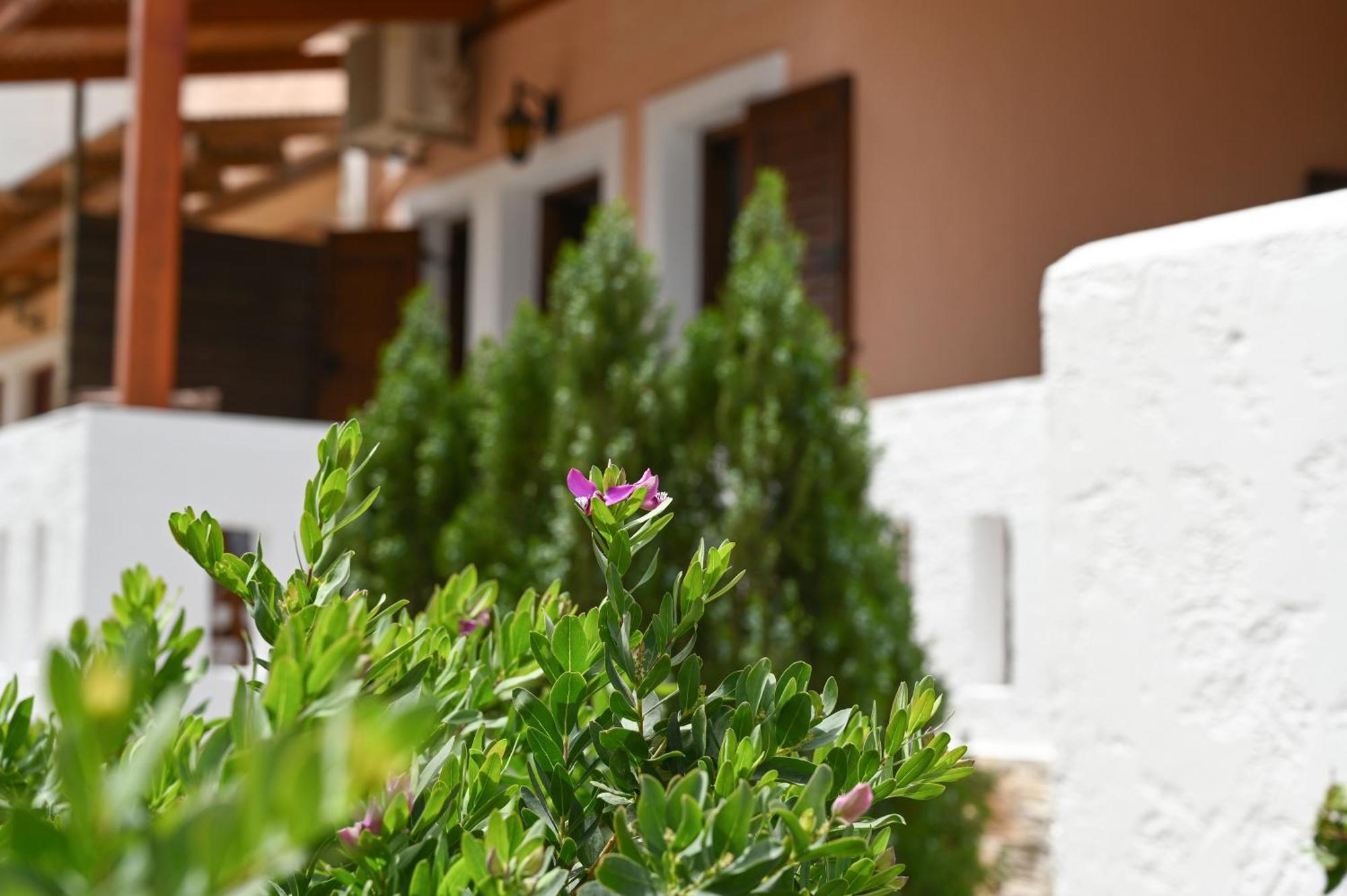 Appartement Garden House Xerokampos à Xerokampos  Extérieur photo